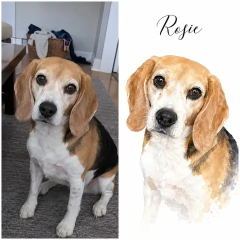 Custom pet portrait before and after
